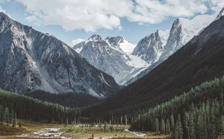 哪家移民中介可靠